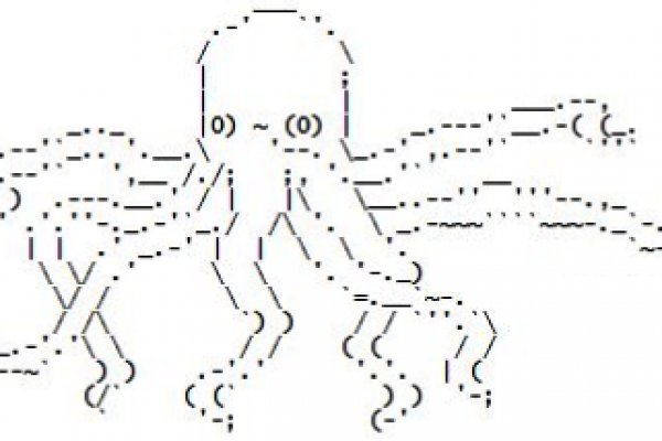 Kraken 17 at