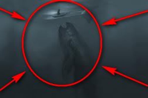Поддельные ссылки на kraken