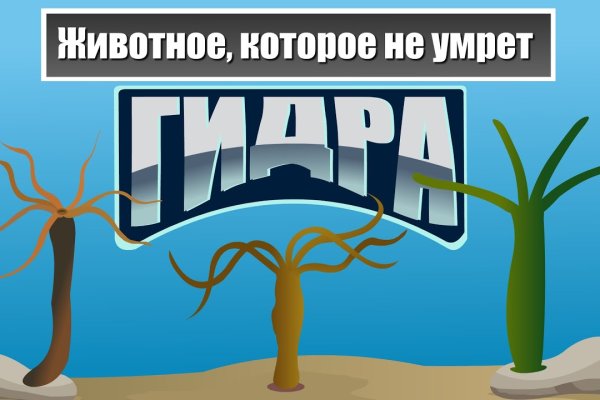 Ссылка на кракен официальный
